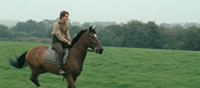 War Horse